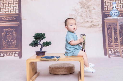 商洛可爱的企鹅宝宝